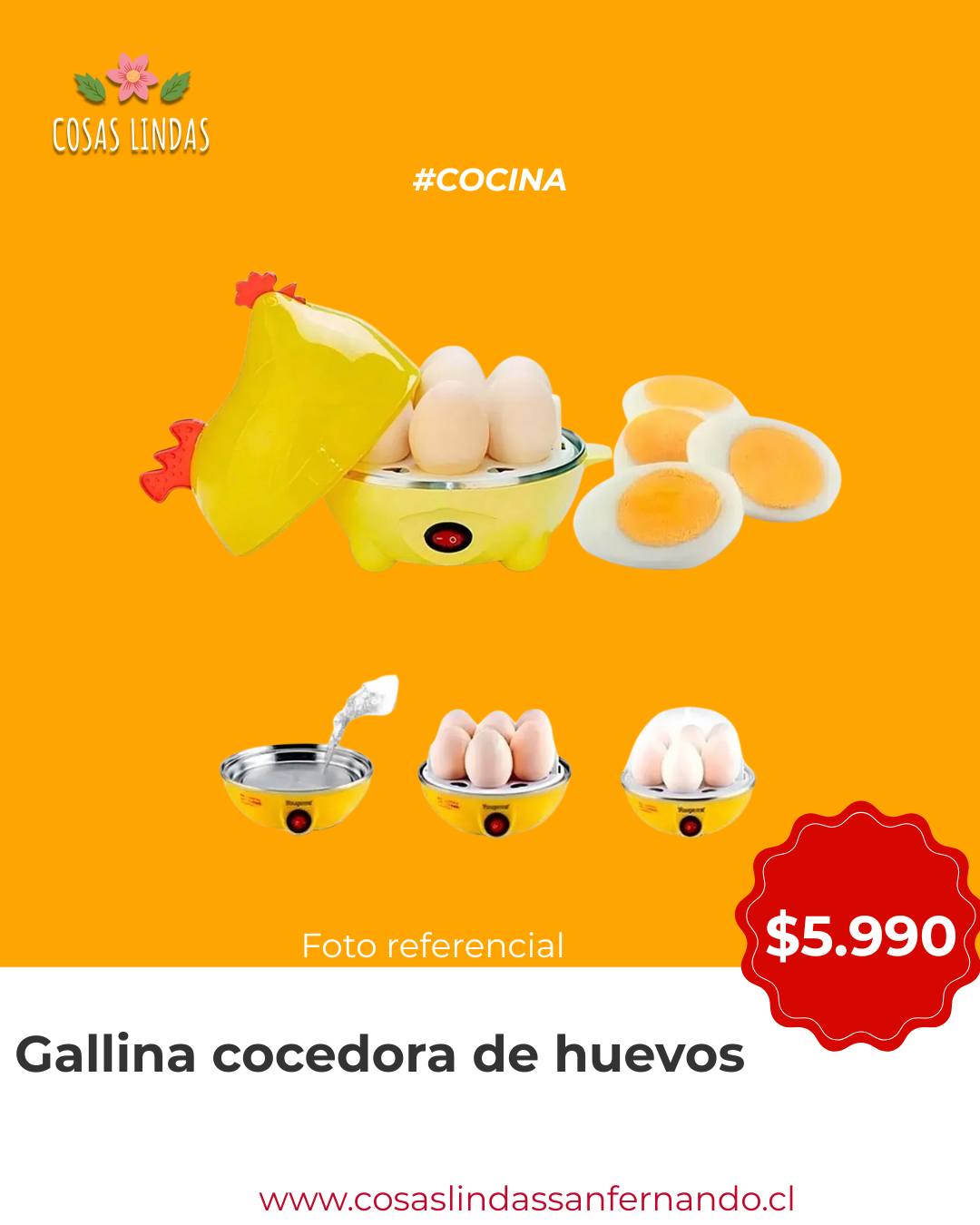 Gallina Cocedora de Huevos