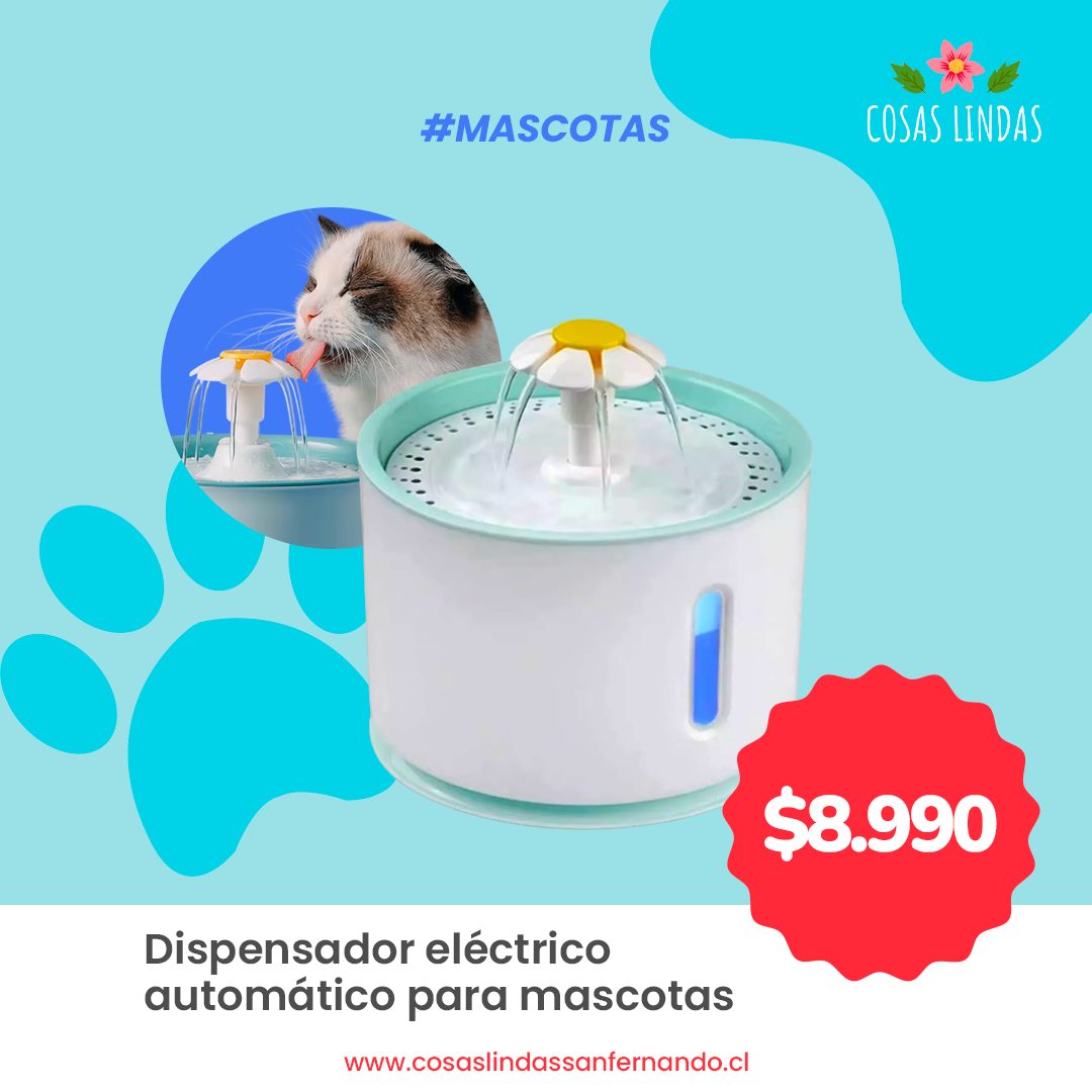 Dispensador eléctrico automático para mascotas