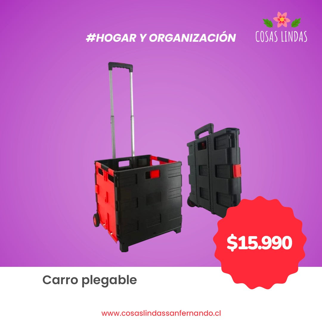 Carro Plegable