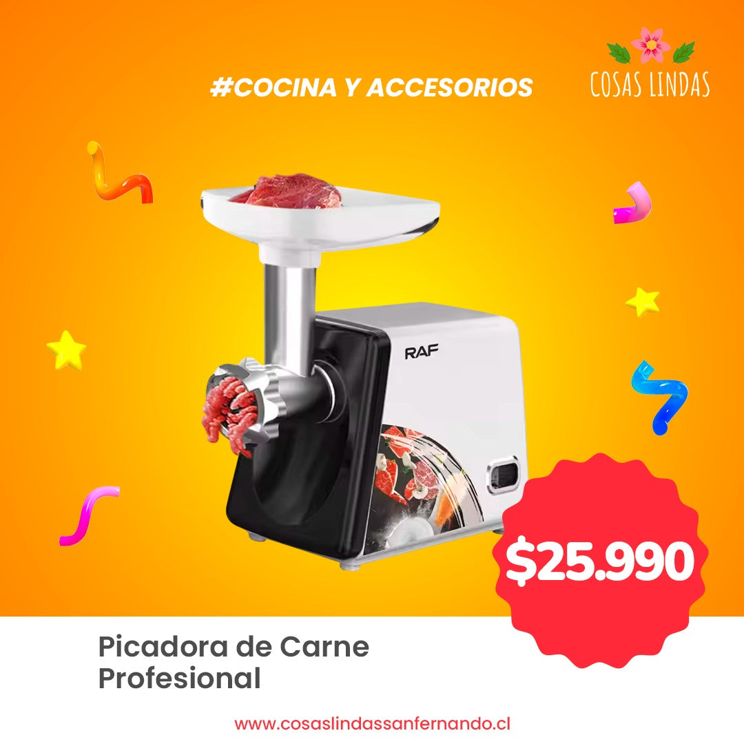 Picadora de Carne Profesional