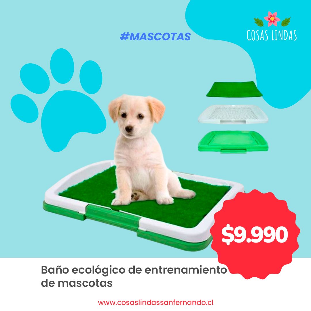 Baño Ecológico de Entrenamiento de Mascotas