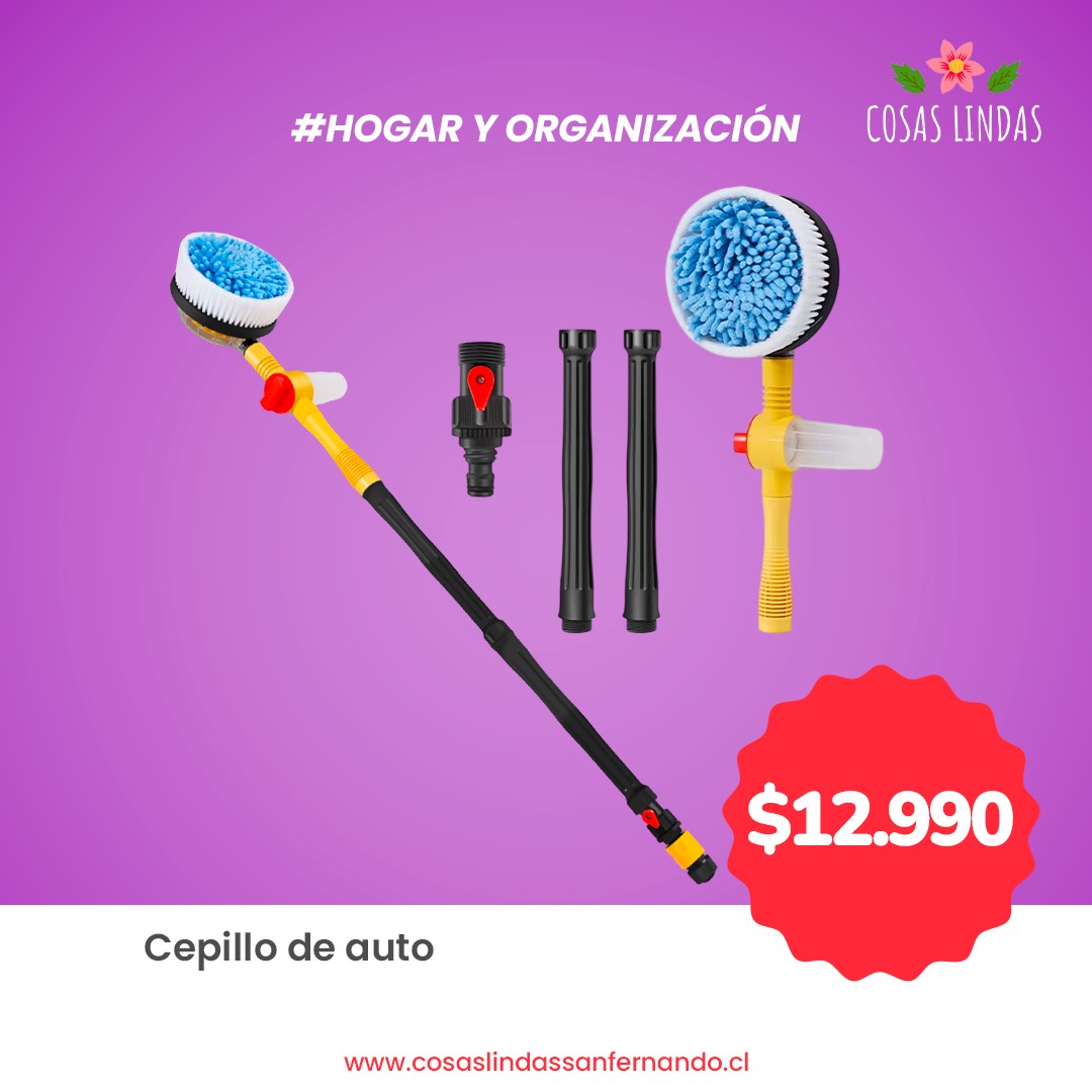 Cepillo para Lavar Autos