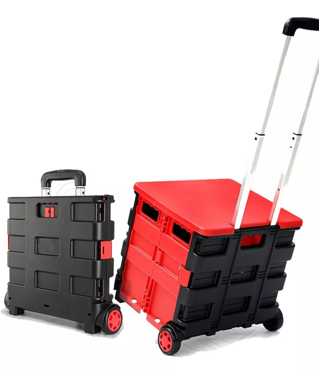 Carro Plegable