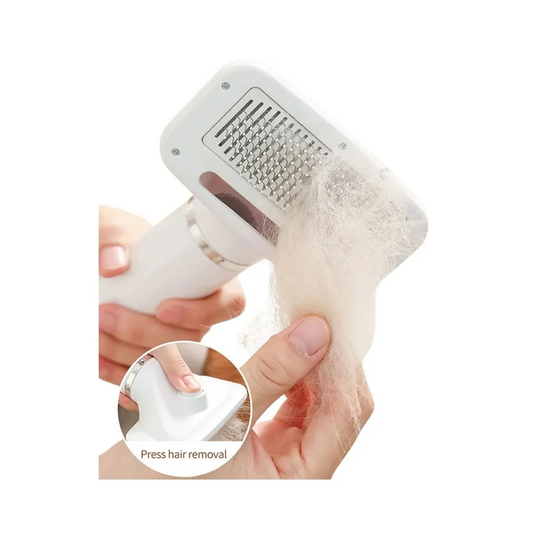 Cepillo Secador Eléctrico 2 en 1