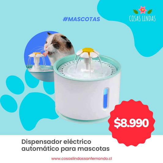Dispensador eléctrico automático para mascotas