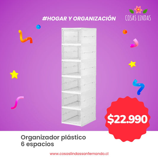 Organizador Plástico 6 espacios