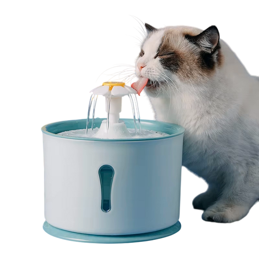 Dispensador eléctrico automático para mascotas